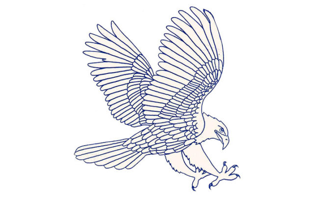 Delaware Blue Hawks – Deaf Sports Logos