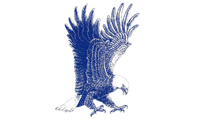 Delaware Blue Hawks – Deaf Sports Logos